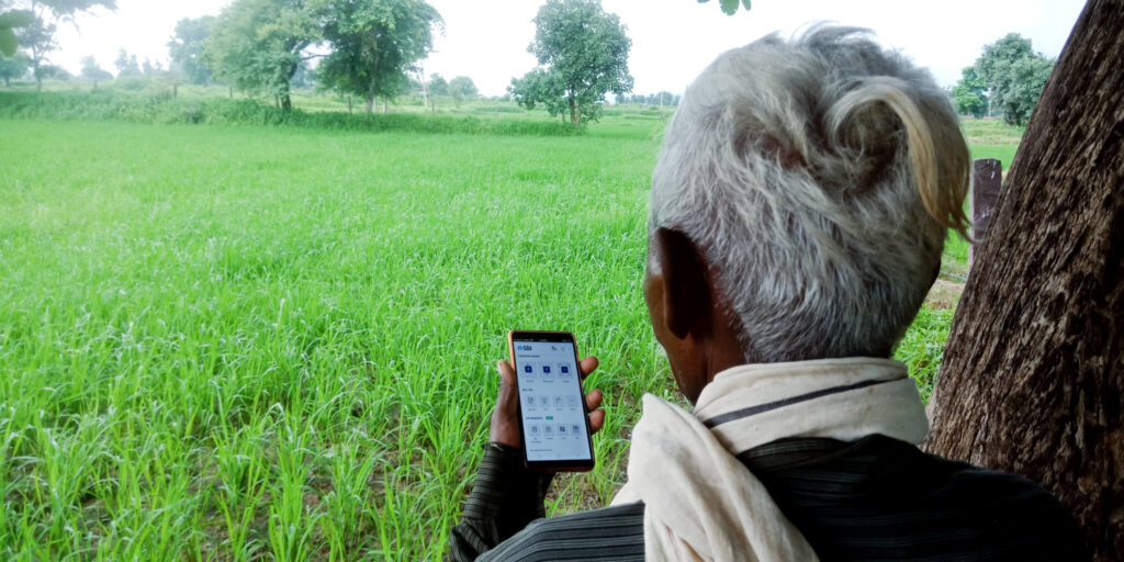 person sitting in a field looking at a phone