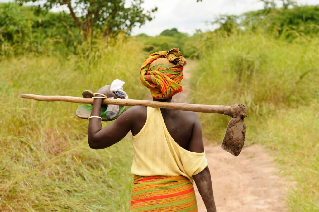 person walking while carrying farming tool