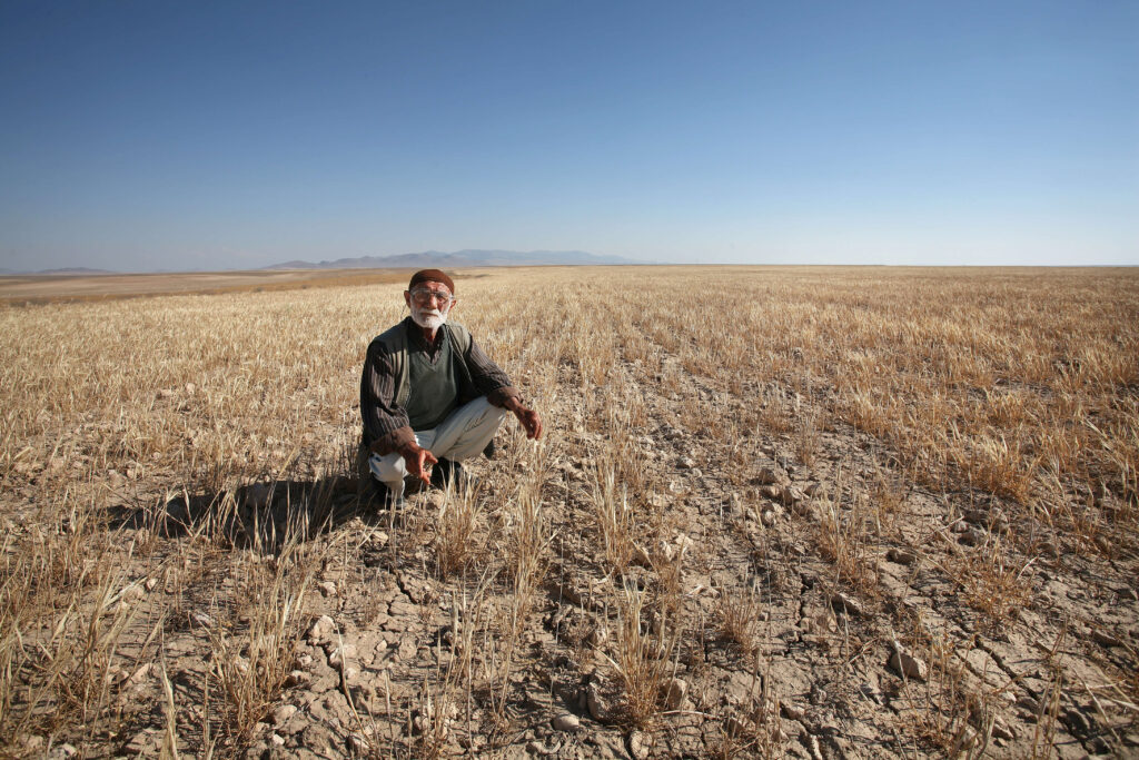 Man kneeling in a field of dead crops