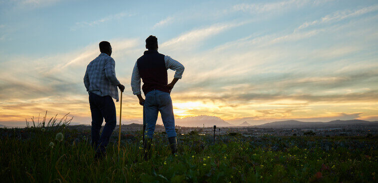 People in a field looking at a sunset