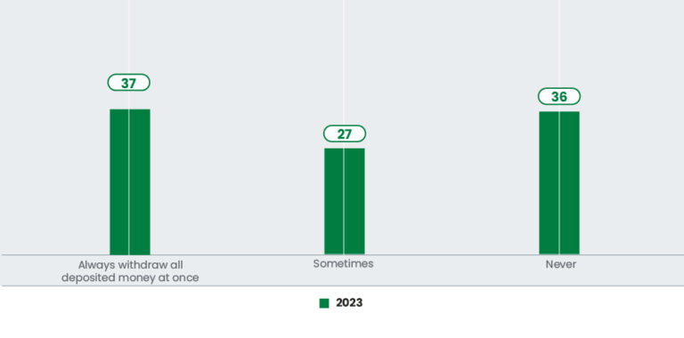 South Africa's Inclusion Story: Two Decades of Financial Progress Amid ...