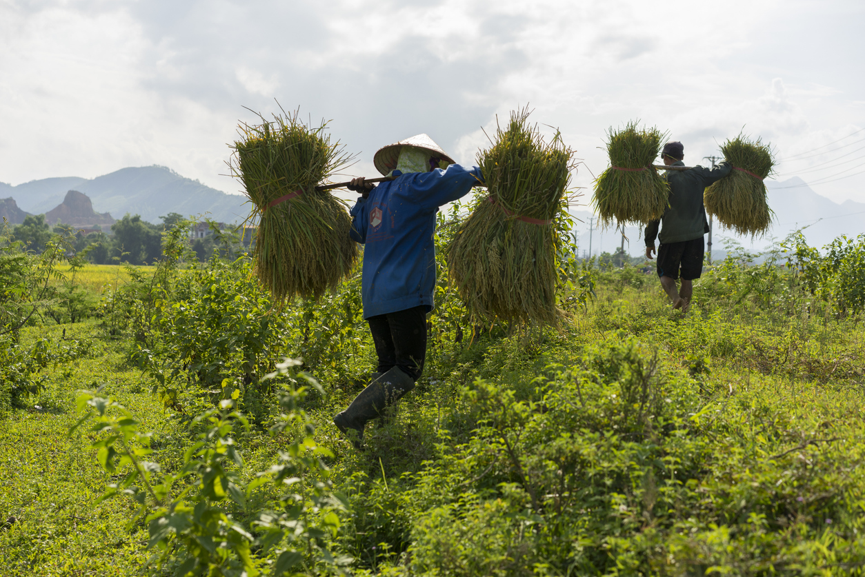 Financial Inclusion in 2026: Progress, Funding Shifts, and the Next ...