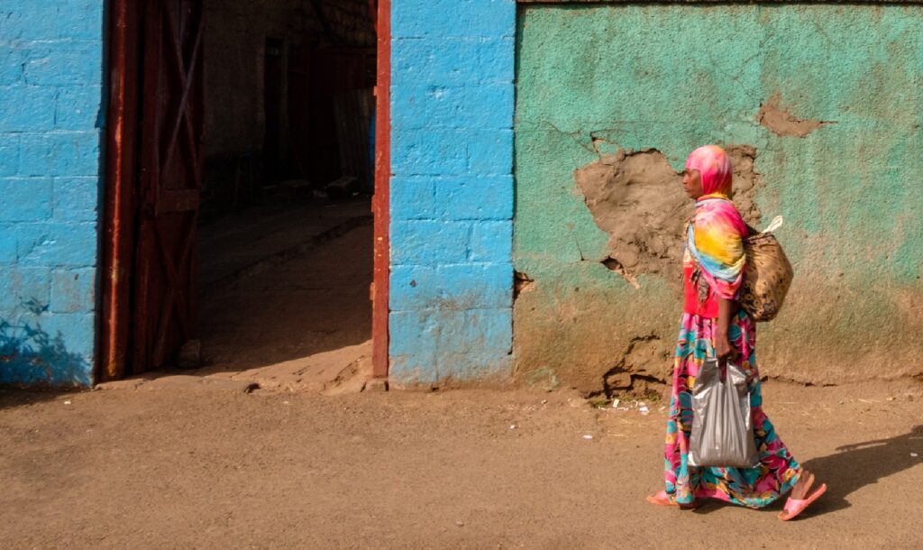 Information Access as a Driver of Resilience